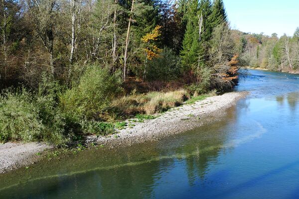 eawag-Wasserkraft-Biodiversität
