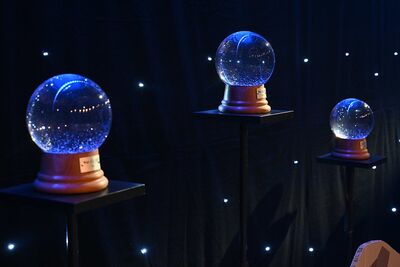 Die Watt d’Or Trophäe ist eine Schneekugel.