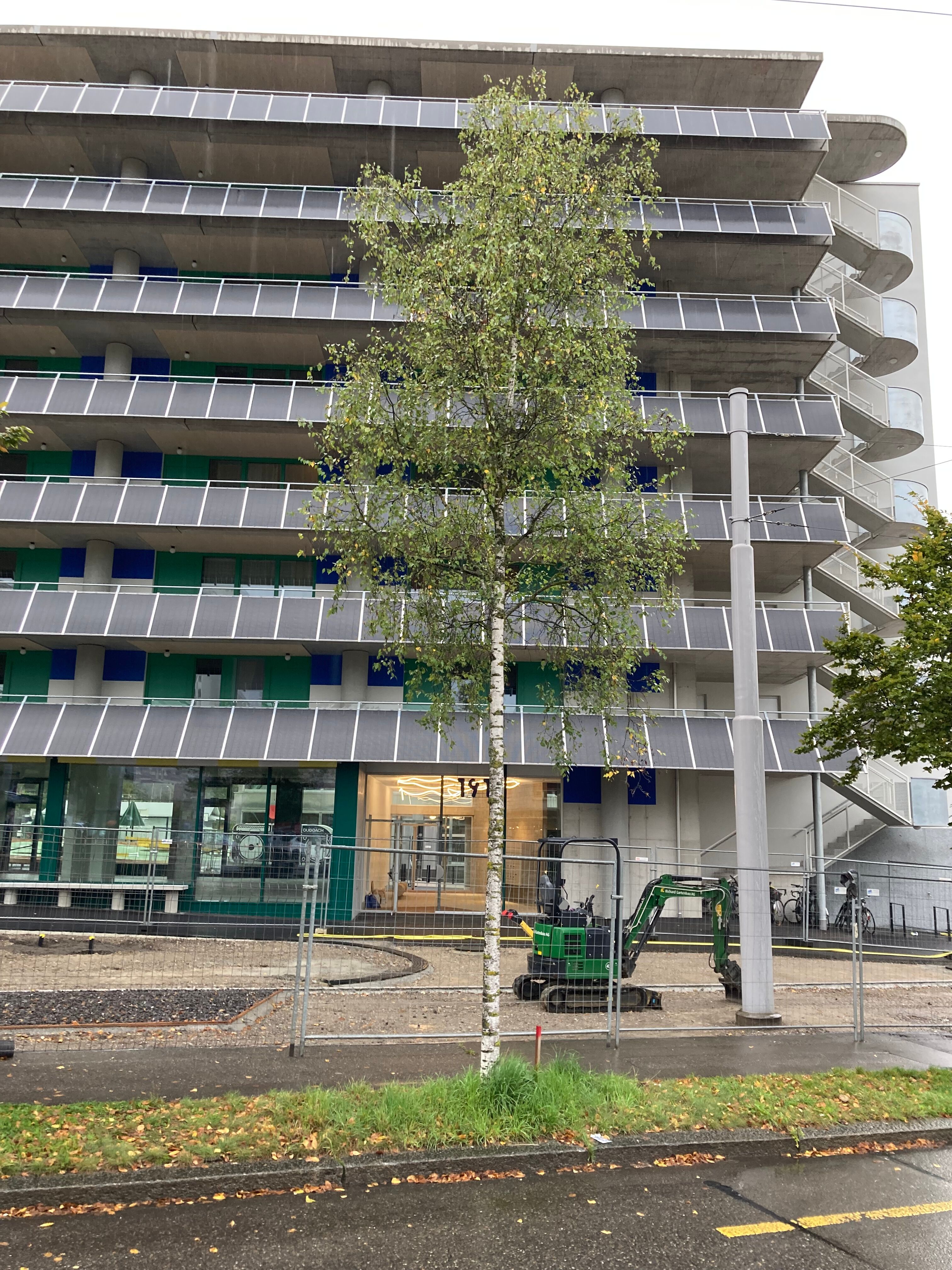 Die Wohnsiedlung Hofwiesenstrasse in Zürich-Nord